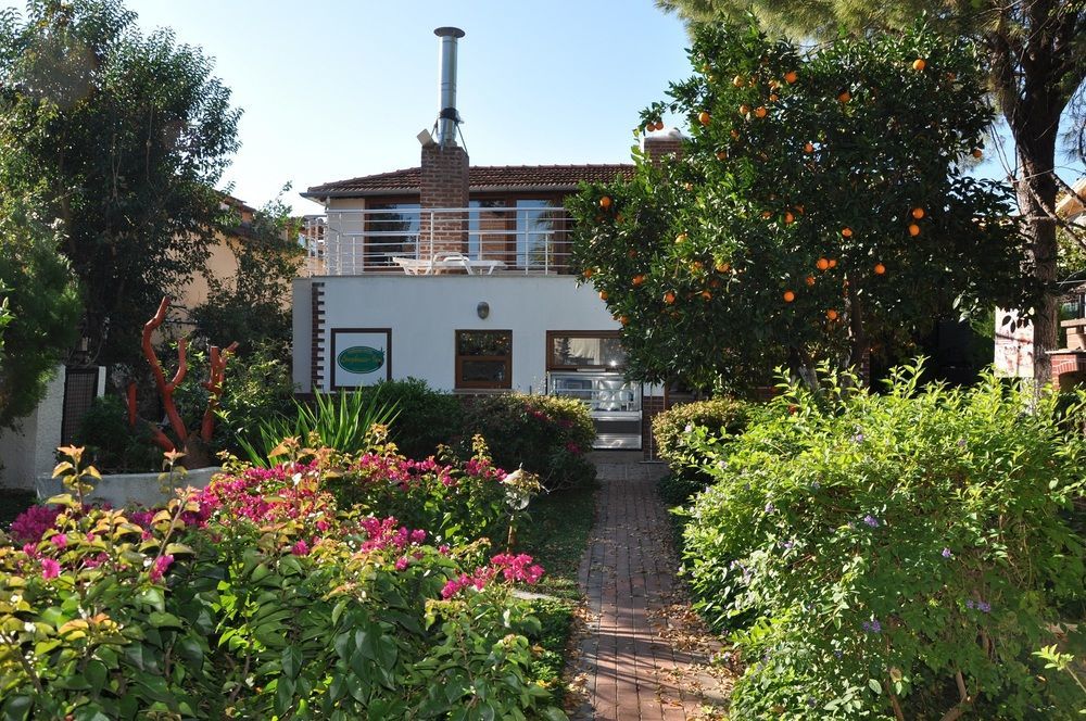 Longhouse Inn Hotel 达利安 外观 照片
